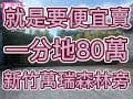 新竹縣橫山鄉萬瑞森林樂園旁農林地 春明地產