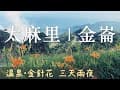 台東太麻里三天兩夜｜金崙溫泉、太麻里金針花滿開了、青山農場、海癒小村咖啡店、力卡珈琲、最美的海岸線｜Taitung Travel