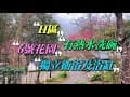 新竹六號花園露營區 （H區介紹）