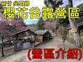 【一百種生活(露營篇)】櫻花谷露營區｜新手露營｜露營區｜雨棚｜車宿｜新竹｜尖石鄉