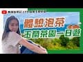 【饅頭出來玩 EP9】宜蘭隱藏景點？在山上泡茶會不會太快樂～免門票的絕佳美景在玉蘭茶園！