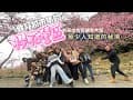 第八十二露｜高雄桃源｜集頂山咖啡莊園｜櫻花森林｜紙箱雞｜每個都大廚吃到飽#camping #露營 #櫻花 #市集 #公園
