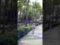 快樂白沙露營區 墾丁恆春 白沙灣 Kenting Hengchun White Sand Bay Beach (Baishawan) https://youtu.be/pFDWMKu2pKk