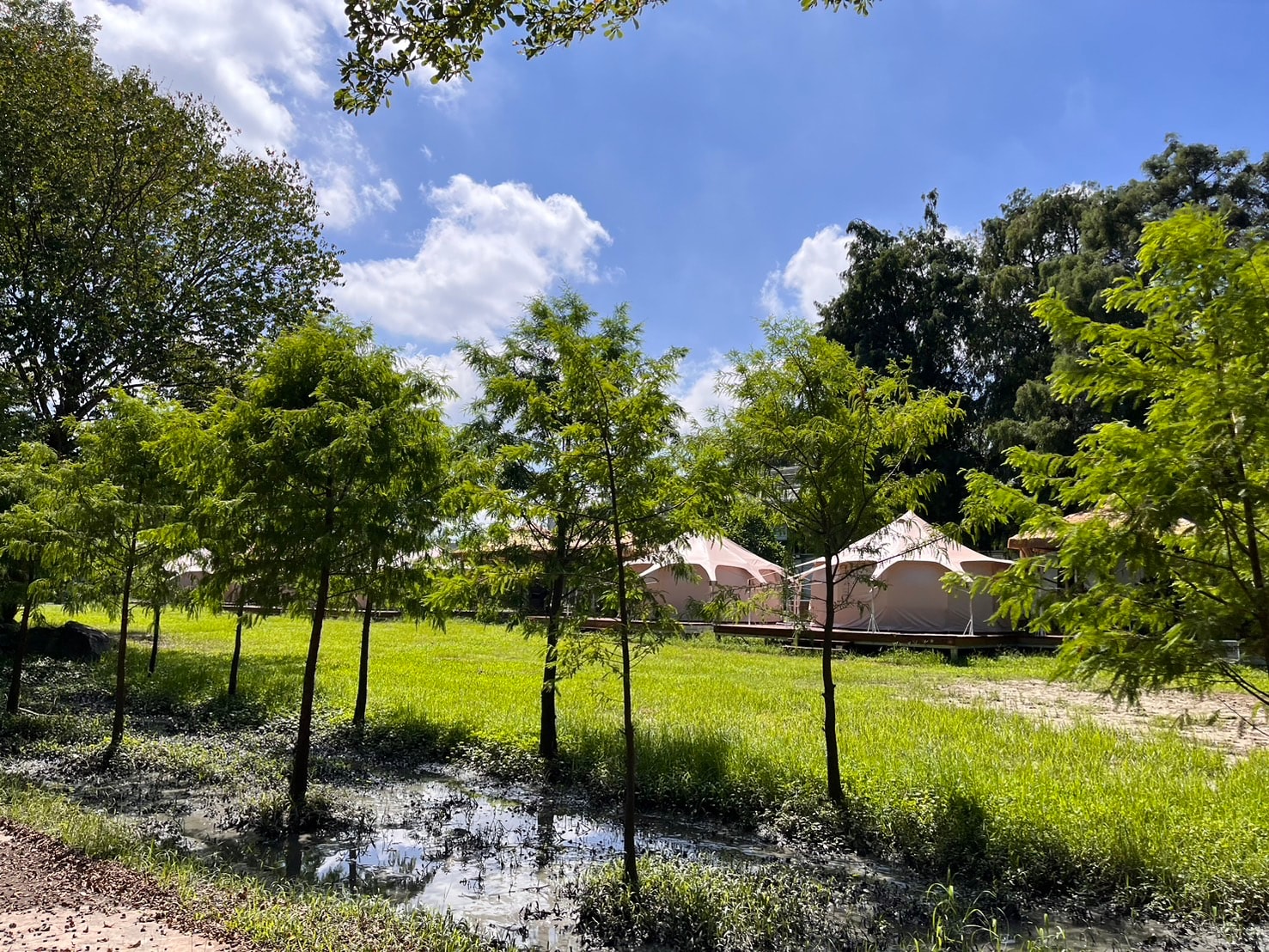 雲林九九莊園：奢華露營體驗與在地美食的完美結合