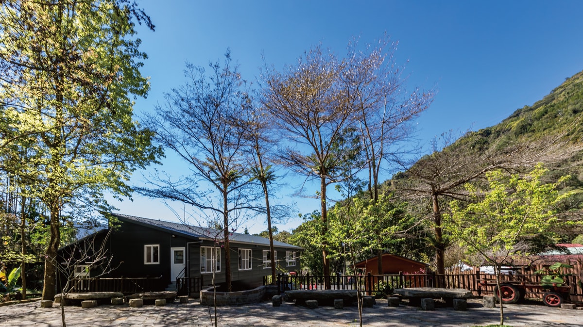 阿里山3天2夜森林浴：湘泉民宿小木屋，賞螢步道親子首選！